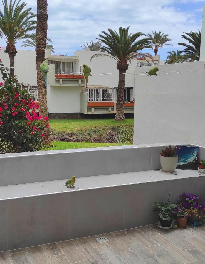 Ideal Holiday Apartment In The South Of Tenerife Costa Del Silencio Extérieur photo